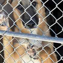 Thumbnail photo of Priscilla #3