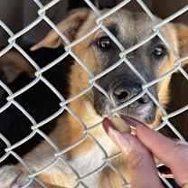 Thumbnail photo of Priscilla #4