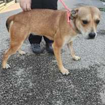 Thumbnail photo of Lilly #1