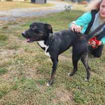 Thumbnail photo of Precious #2