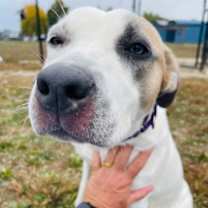 Thumbnail photo of Brienne #1