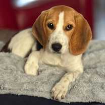 Thumbnail photo of Rosalina #1