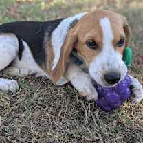 Thumbnail photo of Rosalina #2