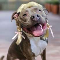 Thumbnail photo of Ragan #2