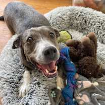 Thumbnail photo of Athena #1