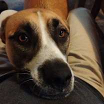 Thumbnail photo of Samuel Jackson #3