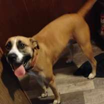 Thumbnail photo of Samuel Jackson #4