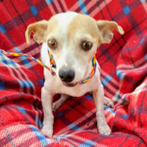 Thumbnail photo of Liliana #2