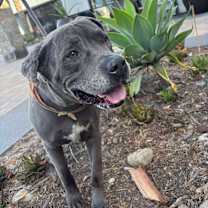 Thumbnail photo of KING #1