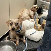 Thumbnail photo of Vanessa #2