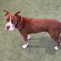 Thumbnail photo of Mo #2