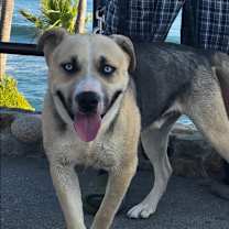 Thumbnail photo of Victor #3