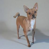 Thumbnail photo of Arlo #3