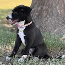 Thumbnail photo of Haven #2