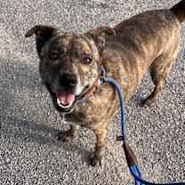 Thumbnail photo of Lucy May Barker #1