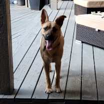 Thumbnail photo of Franke GDP #1