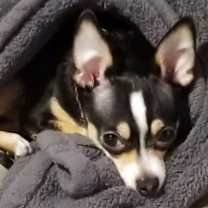 Thumbnail photo of Winslow #1