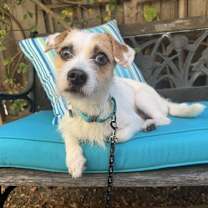 Thumbnail photo of Spunk #1