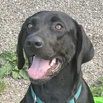 Thumbnail photo of SAVORY (Rep of Georgia) yo #1