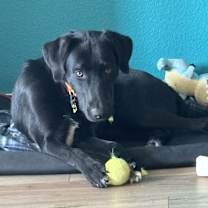 Thumbnail photo of Maverick #2