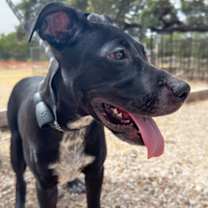 Thumbnail photo of Tilly #2