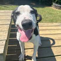 Thumbnail photo of Benson Boone #3