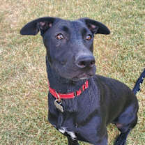 Thumbnail photo of Annie #3