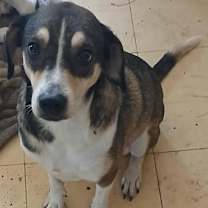 Thumbnail photo of Mindy #3