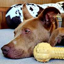 Thumbnail photo of JAX #1