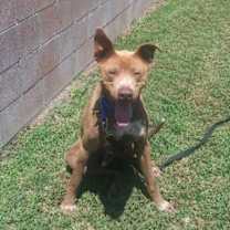 Thumbnail photo of JAX #3