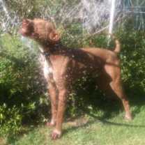 Thumbnail photo of JAX #4