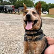 Thumbnail photo of Obi-wan #3