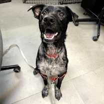 Thumbnail photo of Martin the Warrior #2