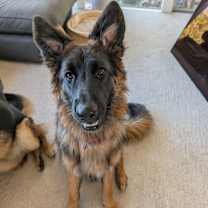 Thumbnail photo of Kaia #2