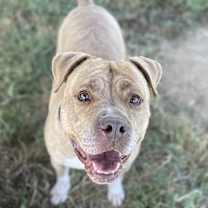 Thumbnail photo of JACQUES #1