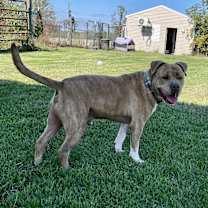 Thumbnail photo of JACQUES #3