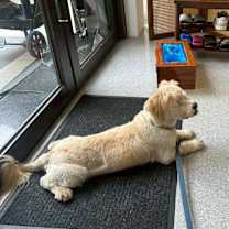 Thumbnail photo of Alastor #2