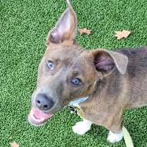 Thumbnail photo of Elliot #2