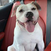 Thumbnail photo of Buddy #1