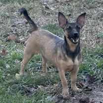 Thumbnail photo of Lulu #1