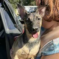 Thumbnail photo of Lulu #3