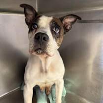 Thumbnail photo of Princess #4