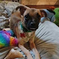 Thumbnail photo of Lumi #2