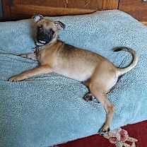 Thumbnail photo of Lumi #3