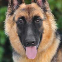 Thumbnail photo of Stanley von Soest #1