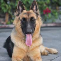 Thumbnail photo of Stanley von Soest #3