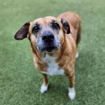 Thumbnail photo of Milly #2