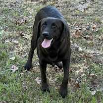 Thumbnail photo of JJ #1