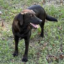 Thumbnail photo of JJ #3