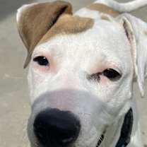 Thumbnail photo of Juneau #1